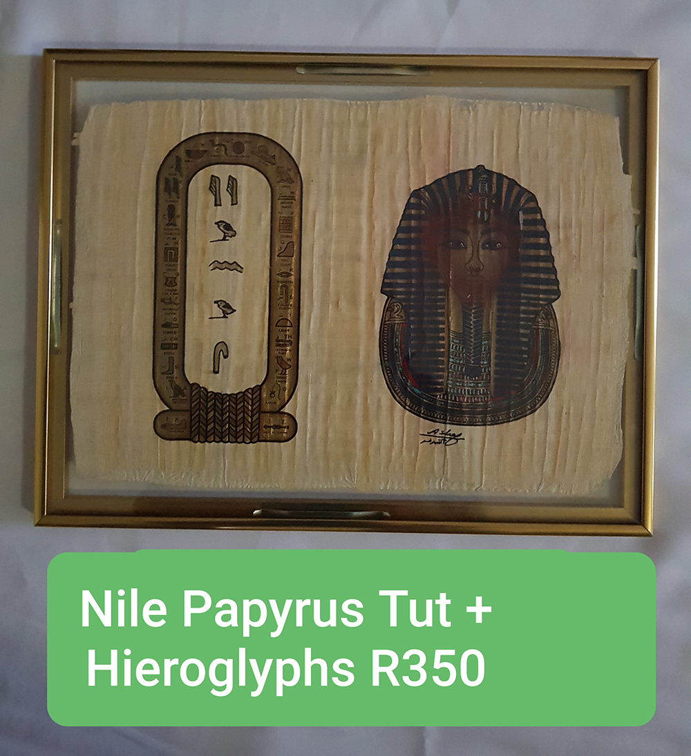 Nile Papyrus Serving Tut 18th Dynasty Reign 1323-1332BC 375x290