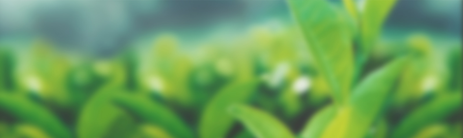 Health and Wellness = Lifestyle